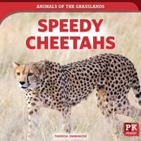 Speedy_Cheetahs