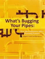 What_s_Bugging_Your_Pipes