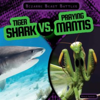 Tiger_Shark_vs__Praying_Mantis