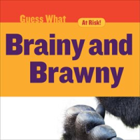Brainy_and_Brawny
