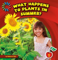 What_Happens_to_Plants_in_Summer_