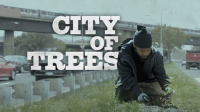 City_of_Trees