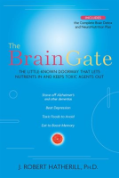 The_Brain_Gate