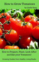 How_to_Grow_Tomatoes