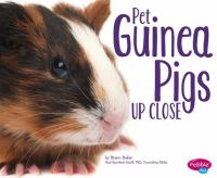 Pet_guinea_pigs_up_close
