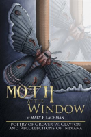 Moth_at_the_Window