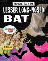 Bringing_Back_the_Lesser_Long-Nosed_Bat