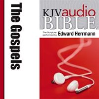 Pure_Voice_Audio_Bible_-_King_James_Version__KJV__The_Gospels
