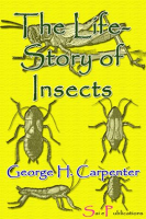 The_Life-Story_of_Insects