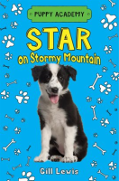 Star_on_Stormy_Mountain