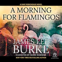 A_Morning_for_Flamingos
