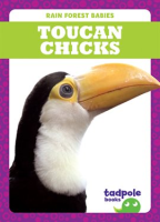 Toucan_Chicks